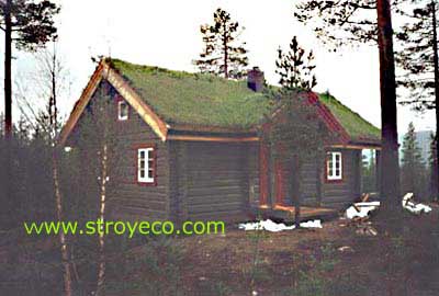  Охотничий деревянный дом с земляной кровлей. Фото 2